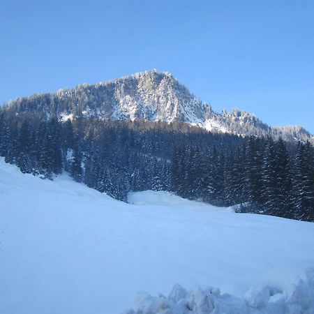 Oberschlassbergbauer Wald im Pinzgau Exteriér fotografie