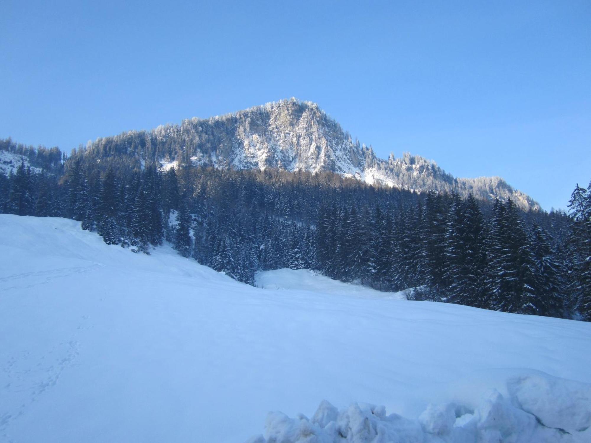 Oberschlassbergbauer Wald im Pinzgau Exteriér fotografie